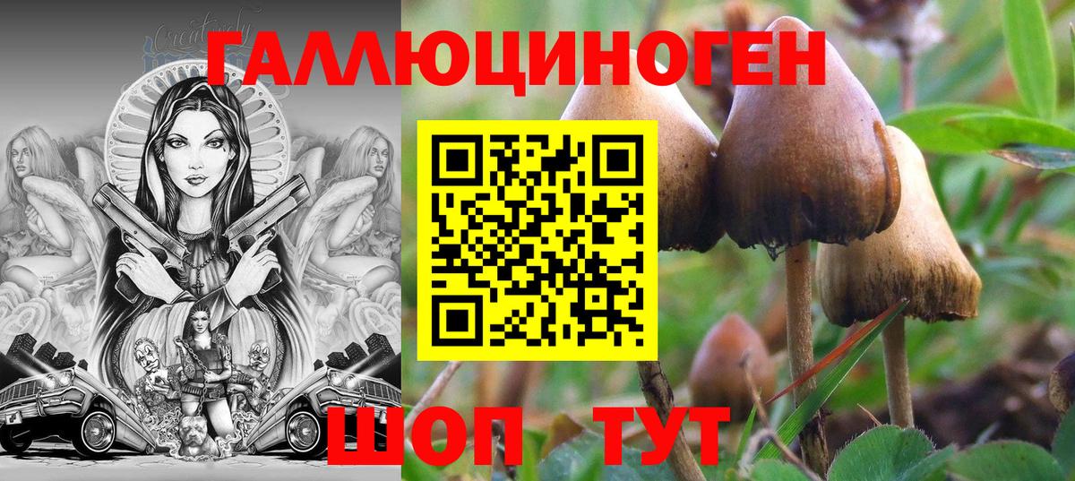 Полевской  Галлюциногенные грибы прущие грибы  Вход с VPN  Псилоцибиновые грибы мицелий 